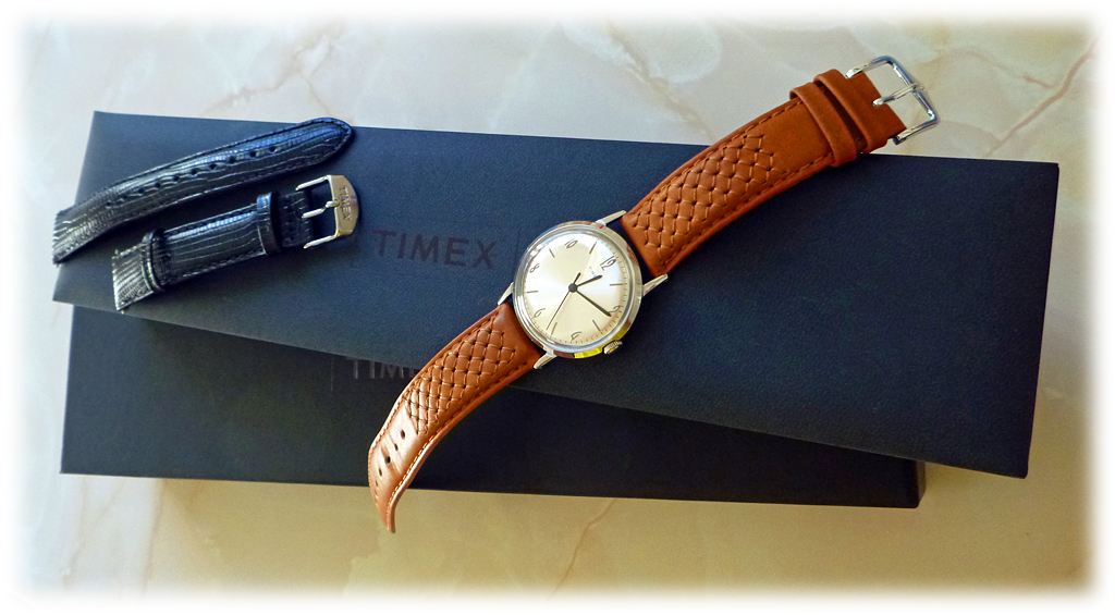 Timex Goes Back to Basics The Marlin UK Watch Forum